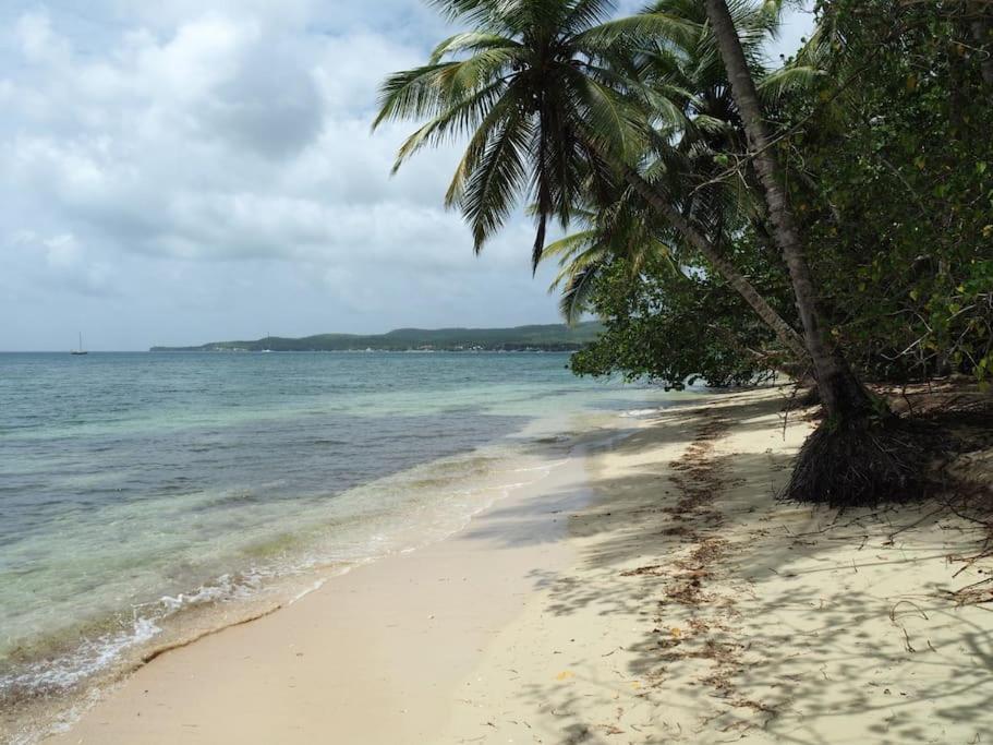 Katalea - Blue Dream, Plage, Piscine, Bar Grand-Bourg (Marie Galante) Экстерьер фото