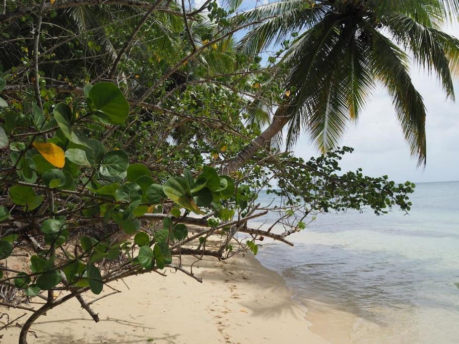Katalea - Blue Dream, Plage, Piscine, Bar Grand-Bourg (Marie Galante) Экстерьер фото