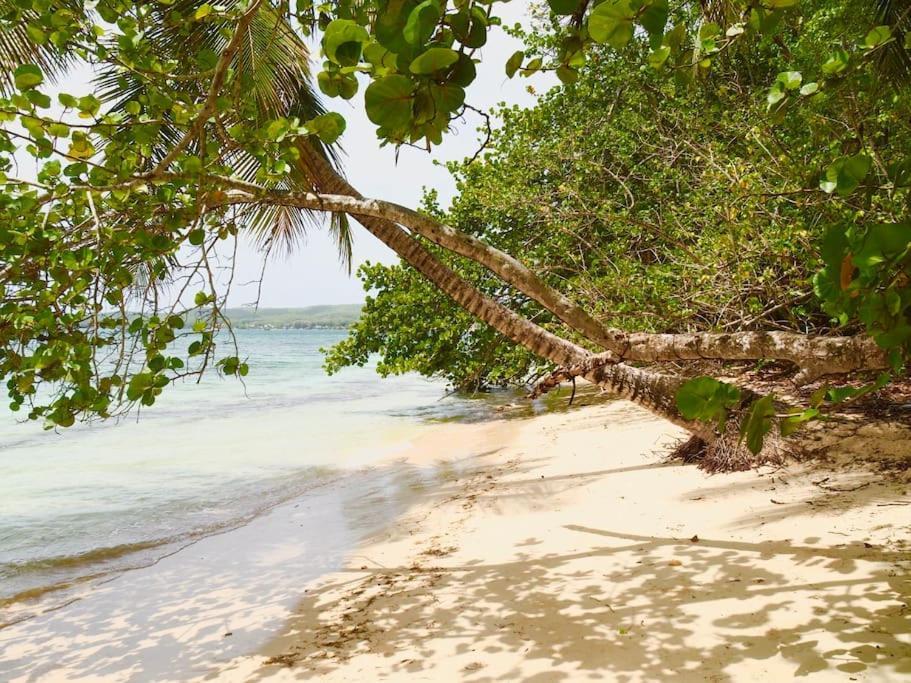 Katalea - Blue Dream, Plage, Piscine, Bar Grand-Bourg (Marie Galante) Экстерьер фото